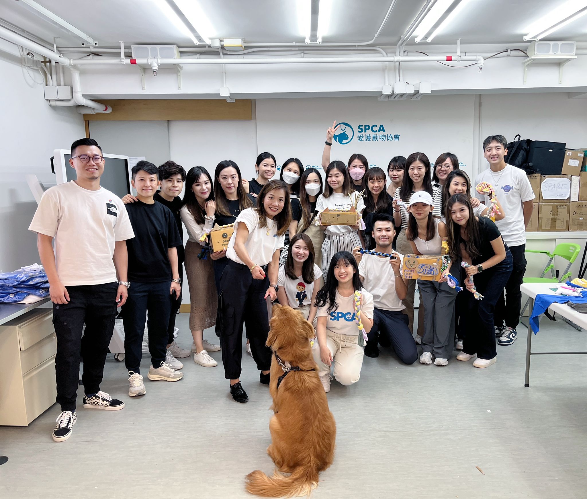Volunteering at SPCA Hong Kong